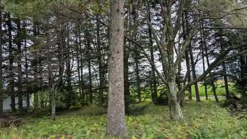 幸福神社の自然