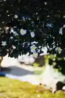 浄土寺(兵庫県)