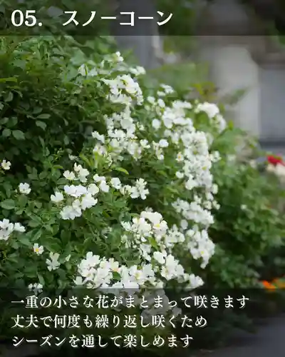 宝光寺(北海道)