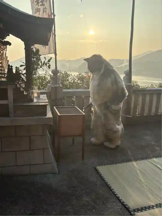 津嶋神社(香川県)