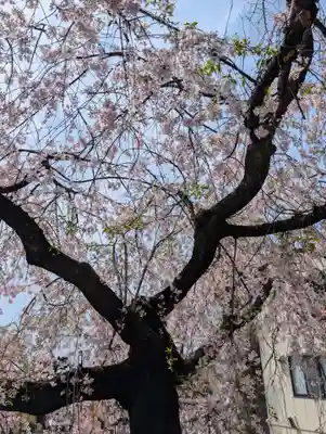 根岸八幡神社(神奈川県)