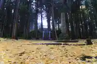 諏訪神社の自然