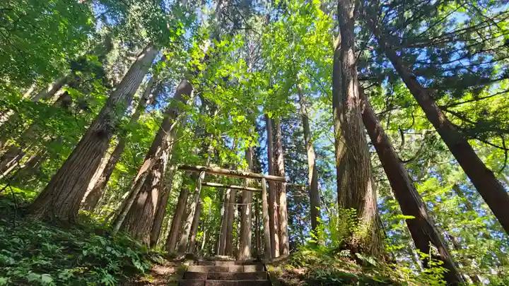 戸隠神社宝光社(長野県)
