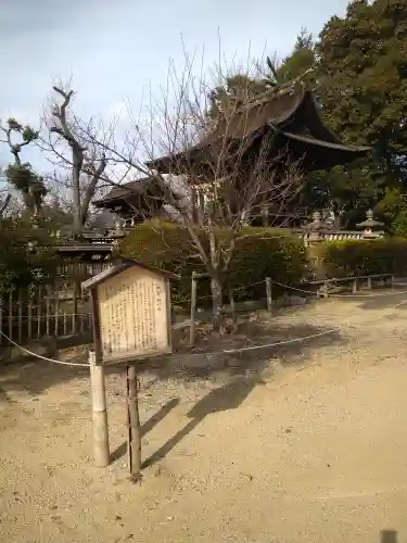 阿智神社の景色