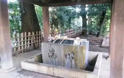 渋谷氷川神社の手水舎