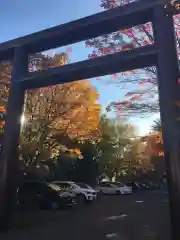 豊平神社の鳥居