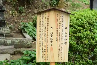 安養院　(田代寺）(神奈川県)