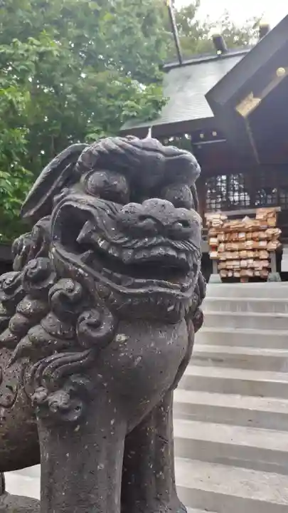 札幌諏訪神社の狛犬