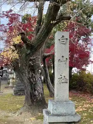 白山神社(岐阜県)