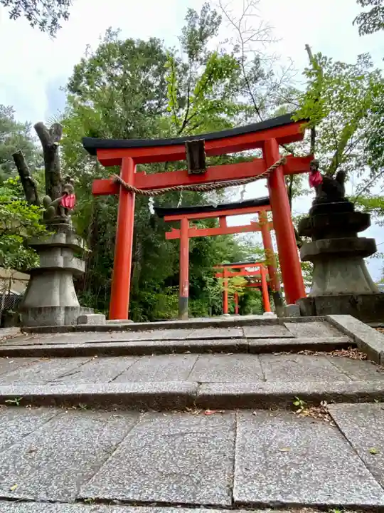 竹中稲荷神社(吉田神社末社)の鳥居