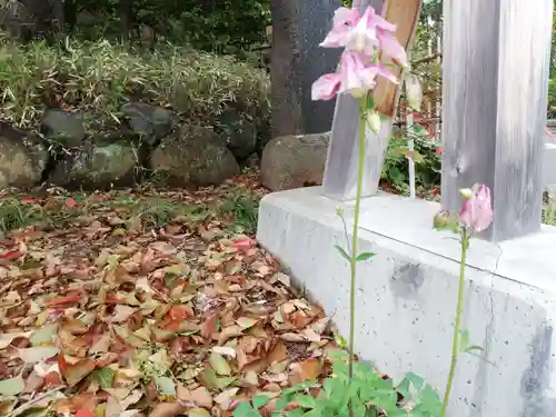 東郷神社の自然
