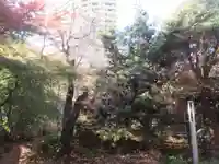 蓮光院(東京都)