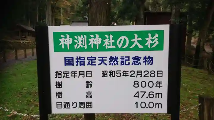 神渕神社の歴史