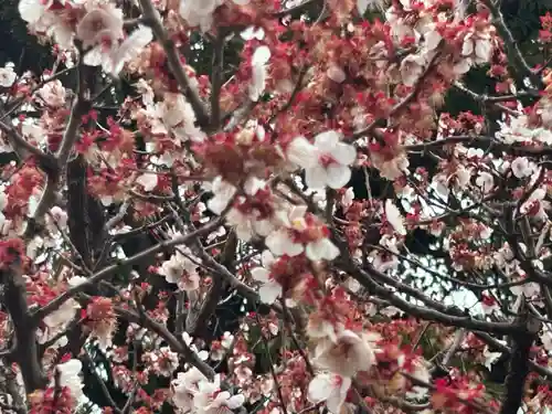 湯島天満宮(東京都)