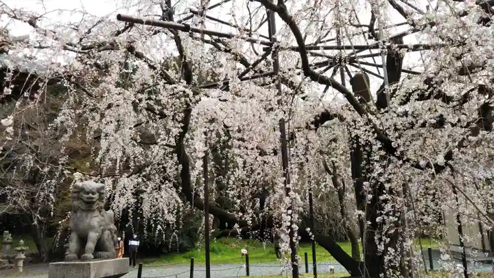 八幡社の自然