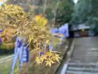 葛木御歳神社の御朱印