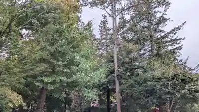 南豪神社の自然