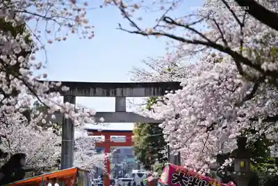 富士山本宮浅間大社(静岡県)
