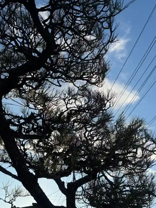 西方山極楽寺(岐阜県)
