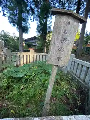 諏訪大社上社前宮(長野県)