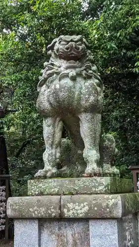 松阪神社の狛犬