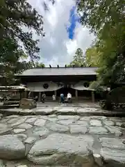 椿大神社の本殿