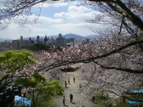 光雲神社の景色