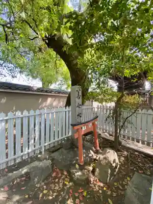 東寺（教王護国寺）(京都府)