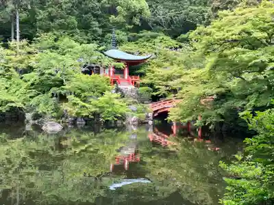 醍醐寺(京都府)