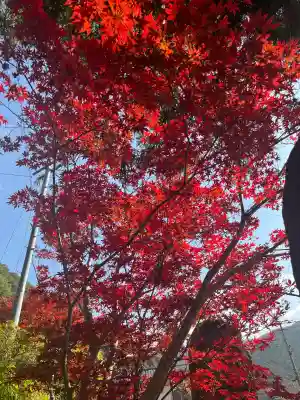 伊野天照皇大神宮(福岡県)