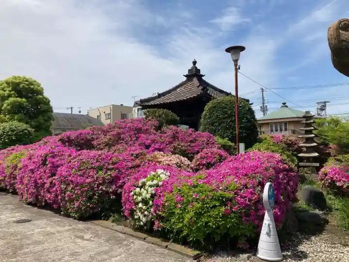 醫王寺の{uncategorized: "未分類", other: "その他", undefined: "問題あり", building: "その他建物", grave: "お墓", sacred_gate: "鳥居", guardian: "狛犬", statue: "像", buddha: "仏像", history: "歴史", nature: "自然", garden: "庭園", animal: "動物", pagoda: "塔", temizu: "手水舎", mountain_gate: "山門・神門", sanctuary: "本殿・本堂", subordinate: "末社・摂社", art: "芸術", scenery: "景色", jizo: "地蔵", ema: "絵馬", goshuin: "御朱印", omikuji: "おみくじ", items: "授与品その他", amulet: "お守り", goshuincho: "御朱印帳", eats: "食事", festival: "お祭り", votive_dance: "神楽", shichigosan: "七五三参", wedding: "結婚式", experience: "体験その他", initially: "初詣", around: "周辺", anti_infection: "感染症対策"}