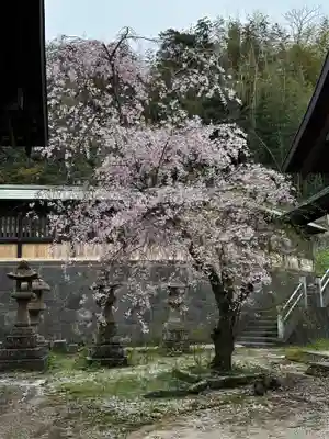 揖夜神社(島根県)