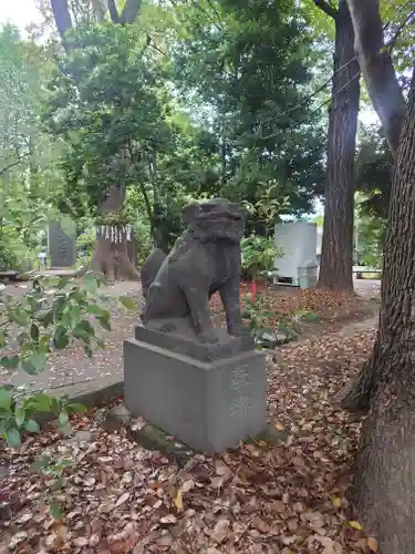 代々木八幡宮の狛犬