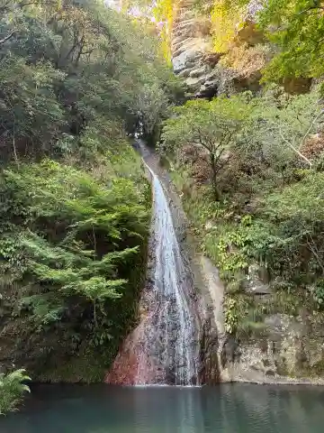 八幡神社(徳島県)