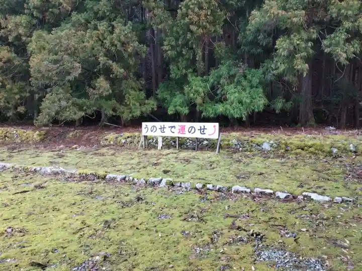白石神社(若狭彦神社境外末社)の{uncategorized: "未分類", other: "その他", undefined: "問題あり", building: "その他建物", grave: "お墓", sacred_gate: "鳥居", guardian: "狛犬", statue: "像", buddha: "仏像", history: "歴史", nature: "自然", garden: "庭園", animal: "動物", pagoda: "塔", temizu: "手水舎", mountain_gate: "山門・神門", sanctuary: "本殿・本堂", subordinate: "末社・摂社", art: "芸術", scenery: "景色", jizo: "地蔵", ema: "絵馬", goshuin: "御朱印", omikuji: "おみくじ", items: "授与品その他", amulet: "お守り", goshuincho: "御朱印帳", eats: "食事", festival: "お祭り", votive_dance: "神楽", shichigosan: "七五三参", wedding: "結婚式", experience: "体験その他", initially: "初詣", around: "周辺", anti_infection: "感染症対策"}
