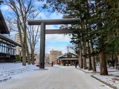 北海道神宮の鳥居