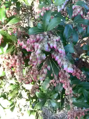 烏杜天神社（楽田天神）の自然