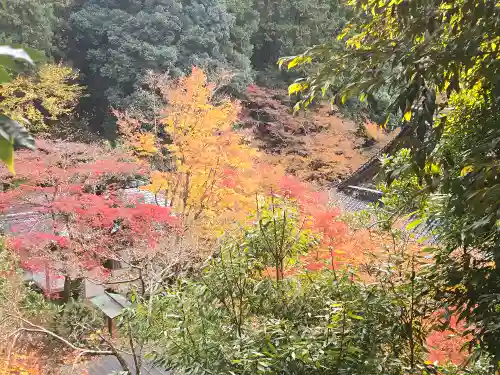 宗鏡寺(兵庫県)