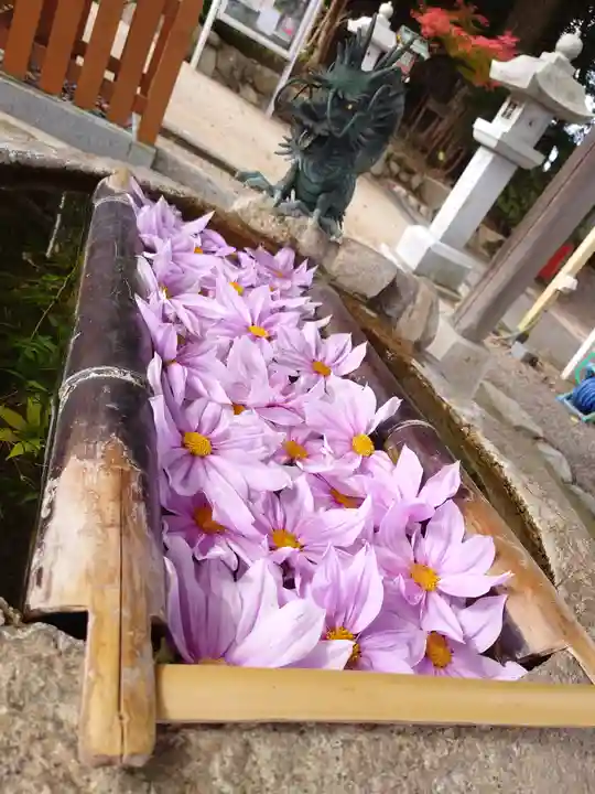 立志神社(滋賀県)