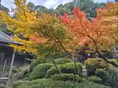 真禅院(岐阜県)