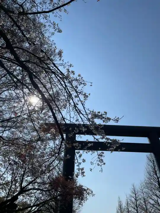 靖國神社の{uncategorized: "未分類", other: "その他", undefined: "問題あり", building: "その他建物", grave: "お墓", sacred_gate: "鳥居", guardian: "狛犬", statue: "像", buddha: "仏像", history: "歴史", nature: "自然", garden: "庭園", animal: "動物", pagoda: "塔", temizu: "手水舎", mountain_gate: "山門・神門", sanctuary: "本殿・本堂", subordinate: "末社・摂社", art: "芸術", scenery: "景色", jizo: "地蔵", ema: "絵馬", goshuin: "御朱印", omikuji: "おみくじ", items: "授与品その他", amulet: "お守り", goshuincho: "御朱印帳", eats: "食事", festival: "お祭り", votive_dance: "神楽", shichigosan: "七五三参", wedding: "結婚式", experience: "体験その他", initially: "初詣", around: "周辺", anti_infection: "感染症対策"}