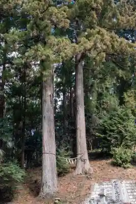 熱日高彦神社(宮城県)