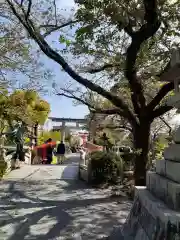 富士山本宮浅間大社の建物その他