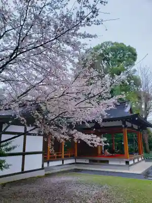 阿佐ヶ谷神明宮(東京都)