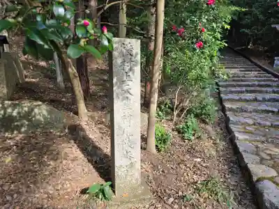 観心寺(大阪府)