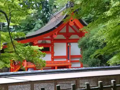 出雲大神宮の本殿・本堂