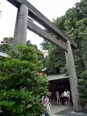 東京大神宮の鳥居