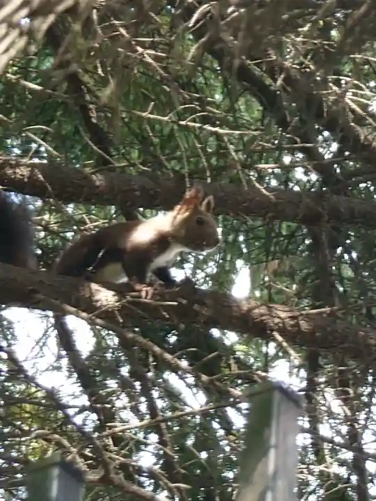相馬神社(北海道)
