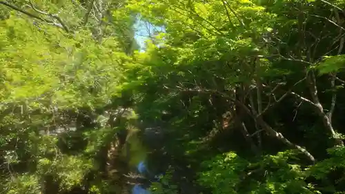 小國神社(静岡県)