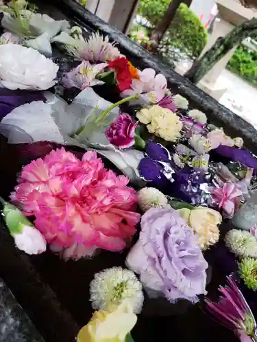 鳩森八幡神社の手水舎